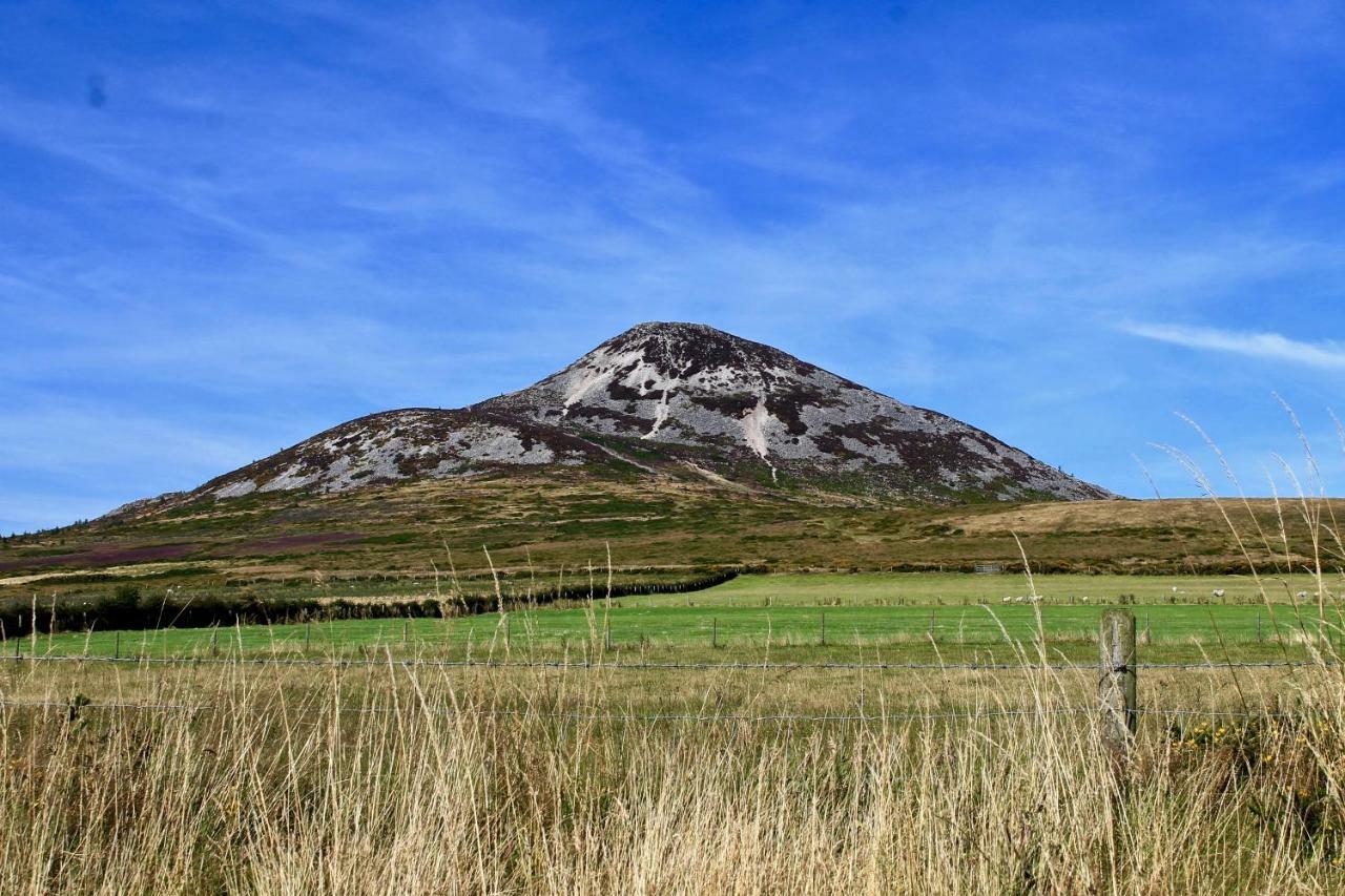 The Nook County Dublin Vendégház Kültér fotó